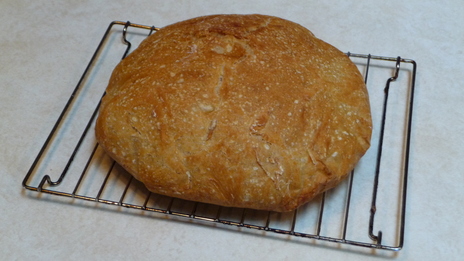 Photograph of bread.